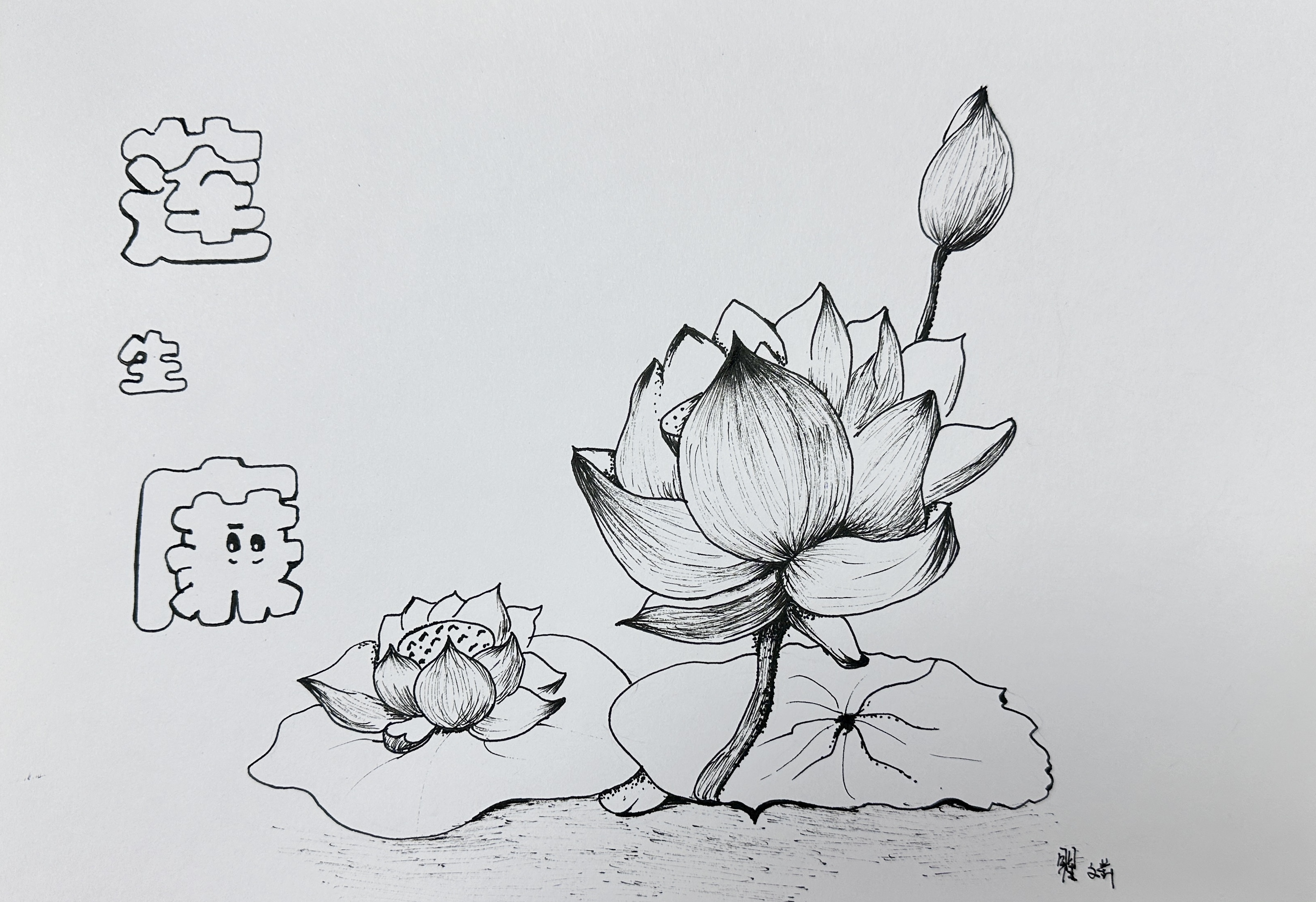 17繪畫類（白描畫）《蓮生廉》.jpg